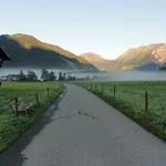 Karin Mitten Im Gruenen *