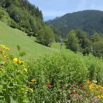 Karin Mitten Im Gruenen * Schoppernau
