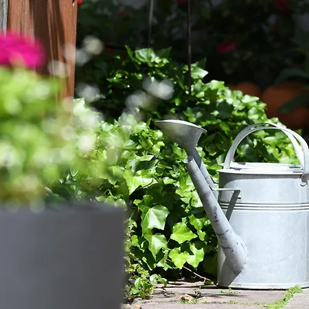 Karin Mitten Im Gruenen Apartmán Schoppernau