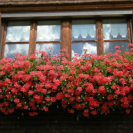 Karin Mitten Im Gruenen Appartement