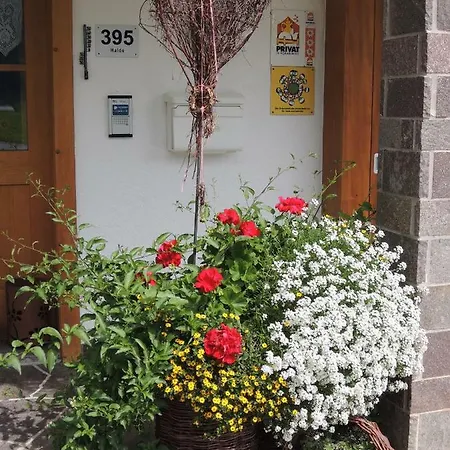 Karin Mitten Im Gruenen