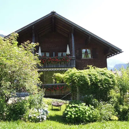 Karin Mitten Im Gruenen Apartman