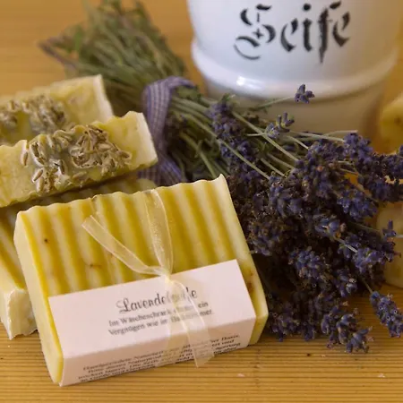 Karin Mitten Im Gruenen * 施科佩尔瑙