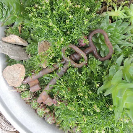 公寓 Karin Mitten Im Gruenen