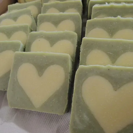 Karin Mitten Im Gruenen Appartement Schoppernau