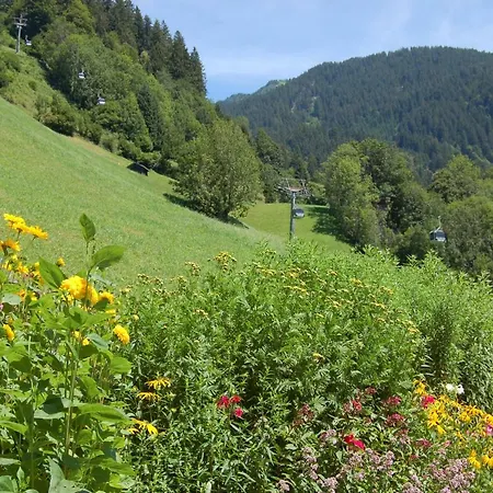 Karin Mitten Im Gruenen * Schoppernau