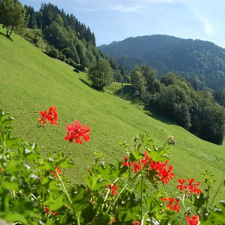 Appartement Karin Mitten Im Gruenen Schoppernau