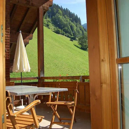 Karin Mitten Im Gruenen Appartement *